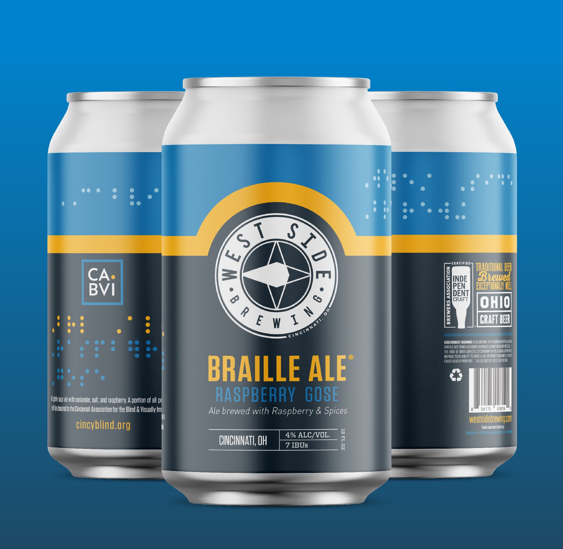 Braille Ale Raspberry Gose Can